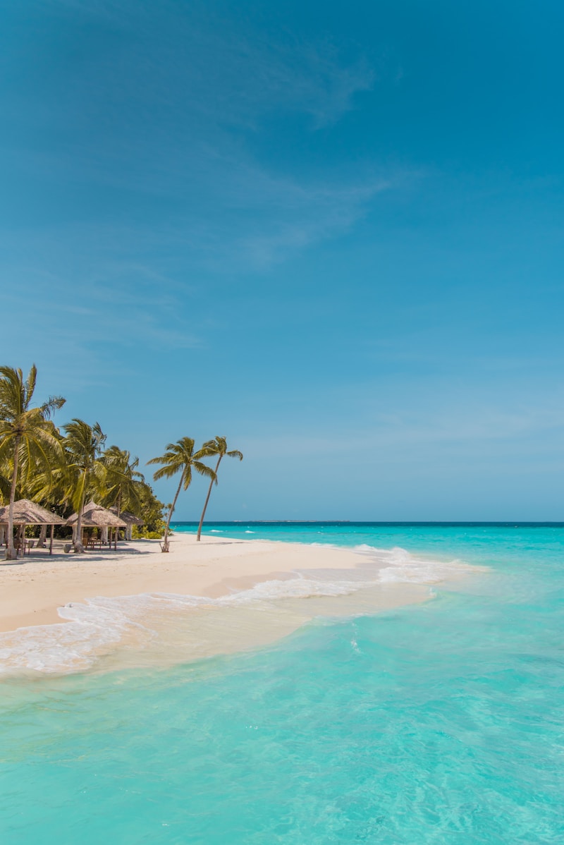 Tropical beach vacation